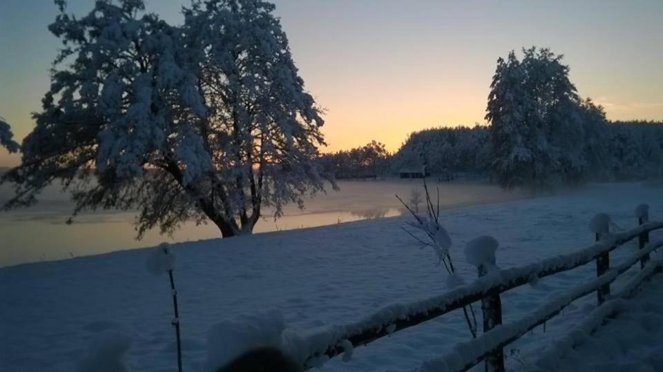 Agroturystyka Skoszewo Εξωτερικό φωτογραφία